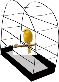 The standard canary in a cage.